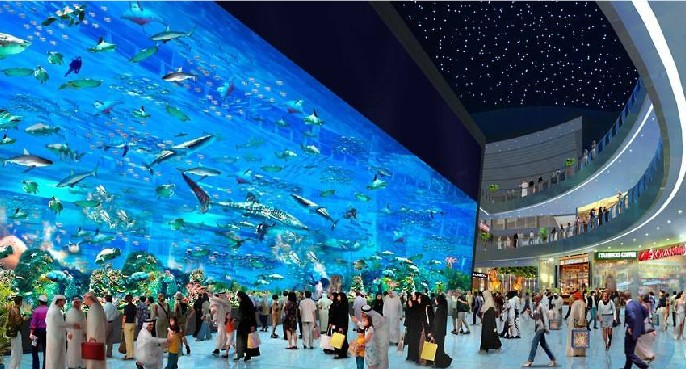 海洋館設(shè)計(jì)，海洋館設(shè)計(jì)要點(diǎn)，海洋館設(shè)計(jì)公司